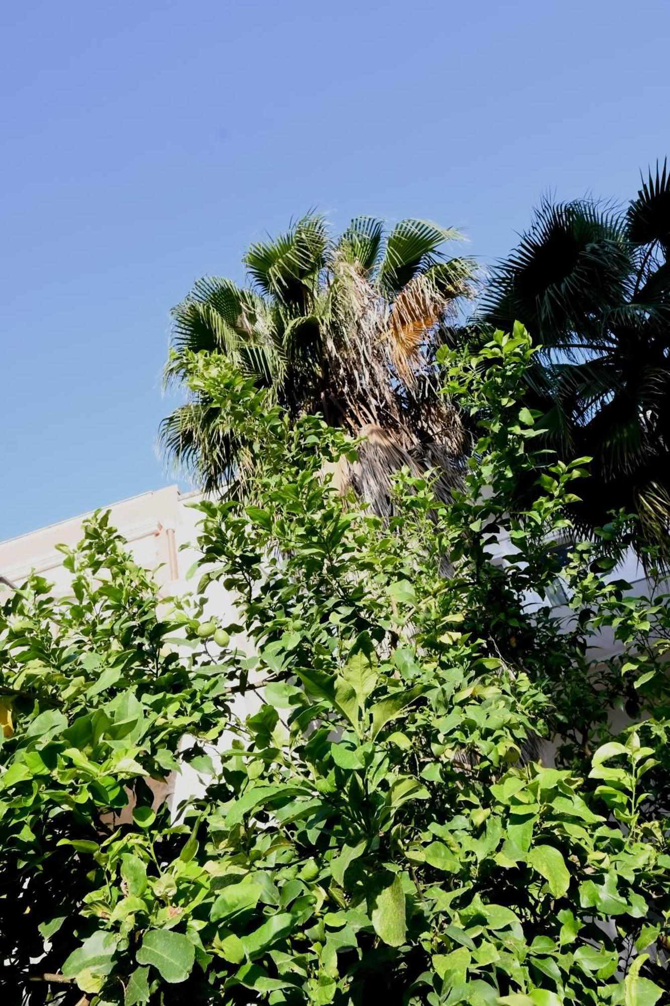 Fatata Suites Lecce Exteriér fotografie
